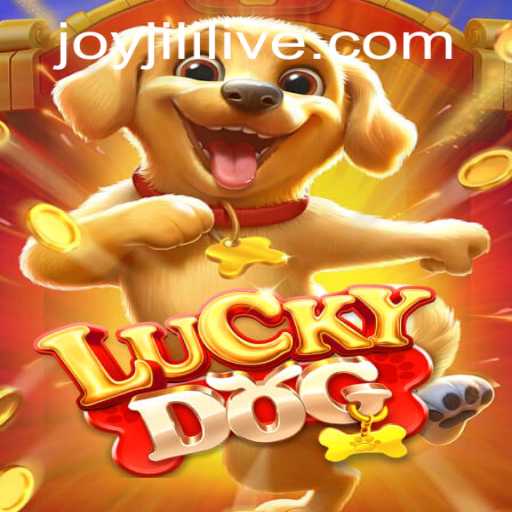 Discover the Excitement of LuckyDog in JOYJILI LIVE